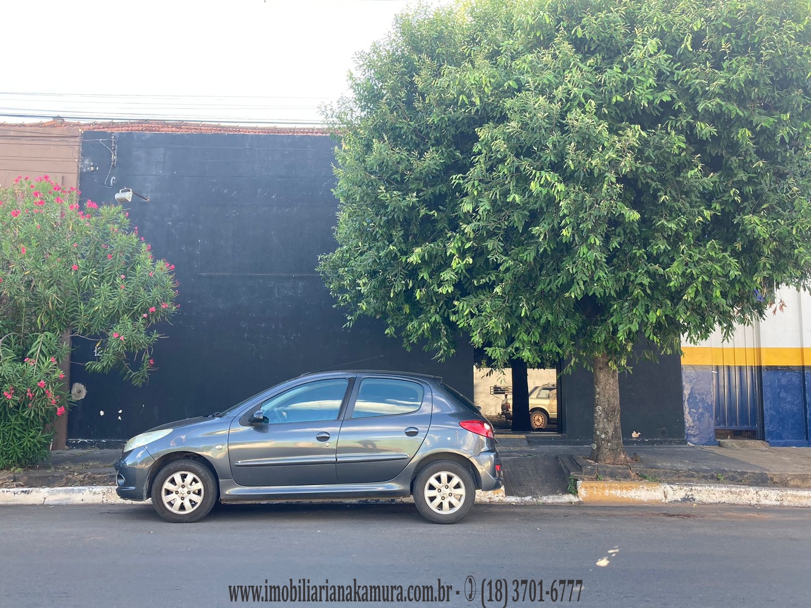 Av. Raul da C. Bueno, 1212