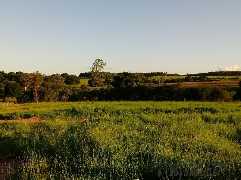 Sitio