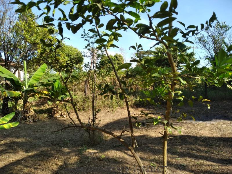 Bairro Tabajara
