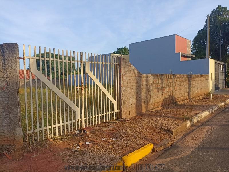Avenida Arlindo Luiz