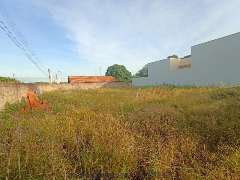 Avenida Arlindo Luiz