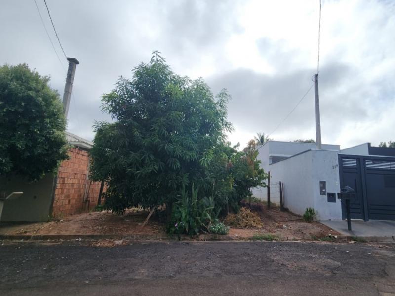 R José Martins da Silva