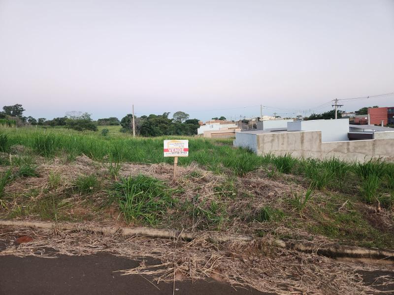 Residencial Parque das Palmeiras