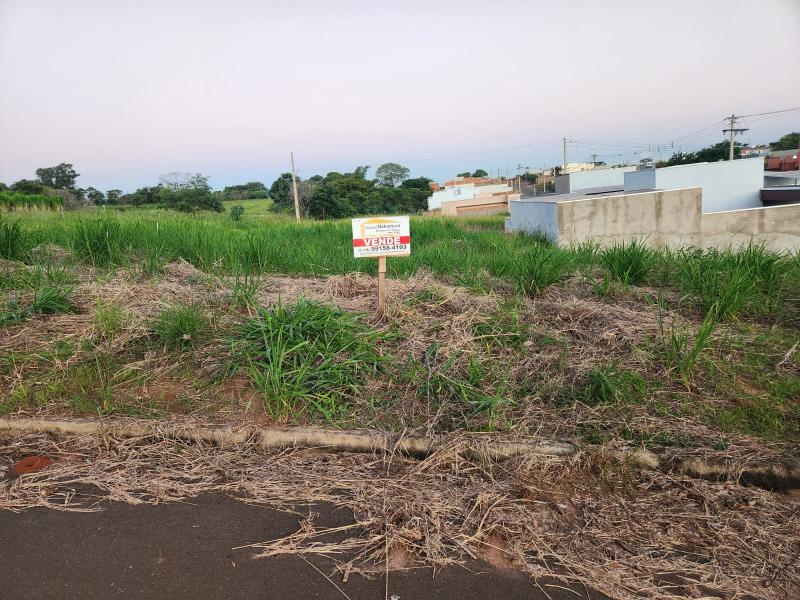 Residencial Parque das Palmeiras